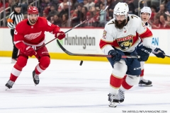 Florida-Panthers-at-Detroit-Red-Wings-April-17-2022-56