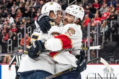 Florida-Panthers-at-Detroit-Red-Wings-April-17-2022-9