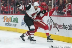 Red Wings vs Arizona Coyotes Oct 31 2017 (1)