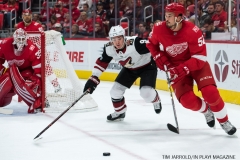 Red Wings vs Arizona Coyotes Oct 31 2017 (10)