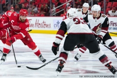 Red Wings vs Arizona Coyotes Oct 31 2017 (11)