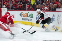 Red Wings vs Arizona Coyotes Oct 31 2017 (12)