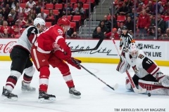 Red Wings vs Arizona Coyotes Oct 31 2017 (15)