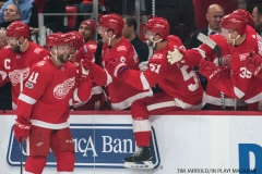 Red Wings vs Arizona Coyotes Oct 31 2017 (2)