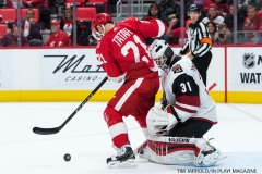 Red Wings vs Arizona Coyotes Oct 31 2017 (23)