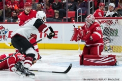 Red Wings vs Arizona Coyotes Oct 31 2017 (24)