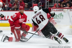 Red Wings vs Arizona Coyotes Oct 31 2017 (25)
