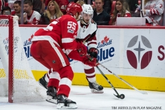 Red Wings vs Arizona Coyotes Oct 31 2017 (27)