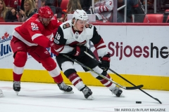 Red Wings vs Arizona Coyotes Oct 31 2017 (28)