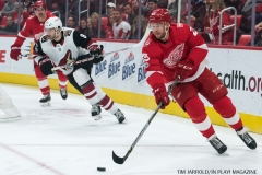 Red Wings vs Arizona Coyotes Oct 31 2017 (3)