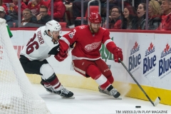 Red Wings vs Arizona Coyotes Oct 31 2017 (5)