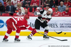 Red Wings vs Arizona Coyotes Oct 31 2017 (7)