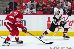 Red Wings vs Arizona Coyotes Oct 31 2017 (8)