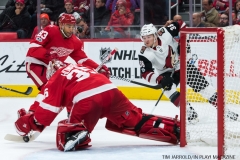 Red Wings vs Arizona Coyotes Oct 31 2017 (9)