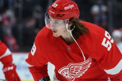 NY-Islanders-at-Detroit-Red-Wings-Dec.-14-2021-18
