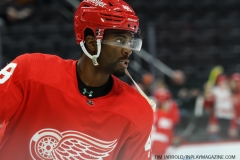 NY-Islanders-at-Detroit-Red-Wings-Dec.-14-2021-19