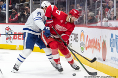Red-Wings-vs-Maple-Leafs-December-14-2024-In-Play-magazine-39
