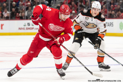 Detroit-Red-Wings-vs-Anaheim-Ducks-December-18-2023-In-Play-magazine-12