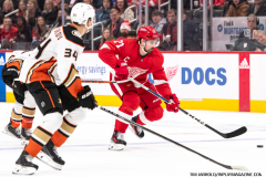 Detroit-Red-Wings-vs-Anaheim-Ducks-December-18-2023-In-Play-magazine-17