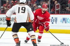 Detroit-Red-Wings-vs-Anaheim-Ducks-December-18-2023-In-Play-magazine-38
