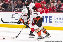 Detroit-Red-Wings-vs-Anaheim-Ducks-December-18-2023-In-Play-magazine-39