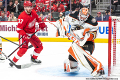Detroit-Red-Wings-vs-Anaheim-Ducks-December-18-2023-In-Play-magazine-55