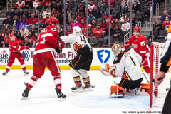 Detroit-Red-Wings-vs-Anaheim-Ducks-December-18-2023-In-Play-magazine-57