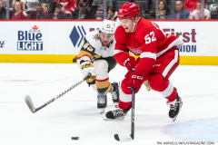 Vegas-Knights-at-Detroit-Red-Wings-December-3-2022-15