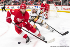 Vegas-Knights-at-Detroit-Red-Wings-December-3-2022-3