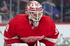 Red-Wings-vs-Predators-Dec-7-2021-1