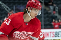 Red-Wings-vs-Predators-Dec-7-2021-2