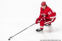 Red-Wings-vs-Predators-Dec-7-2021-29