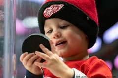 Red-Wings-vs-Predators-Dec-7-2021-3