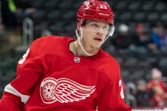 Red-Wings-vs-Predators-Dec-7-2021-6