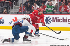 Red-Wings-vs-Avalanche-December-7-2024-In-Play-magazine-41