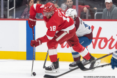 Red-Wings-vs-Avalanche-December-7-2024-In-Play-magazine-42