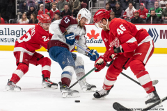 Red-Wings-vs-Avalanche-December-7-2024-In-Play-magazine-56