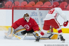 Red Wings Development Camp 2018 (10)