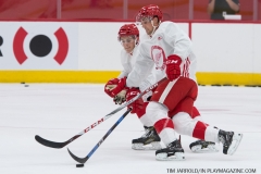 Red Wings Development Camp 2018 (14)