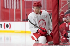 Red Wings Development Camp 2018 (2)