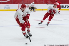 Red Wings Development Camp 2018 (46)