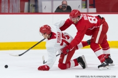 Red Wings Development Camp 2018 (54)