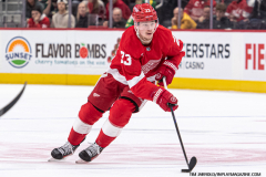 Detroit-Red-Wings-vs-Minnesota-Wild-February-22-2025-In-Play-magazine-19