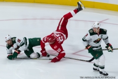 Red Wings Home Opener Oct 5 2017 (11)