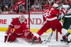 Red Wings Home Opener Oct 5 2017 (3)