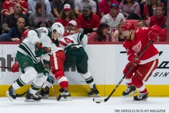 Red Wings Home Opener Oct 5 2017 (7)