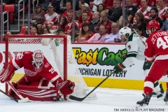 Red Wings Home Opener Oct 5 2017 (9)