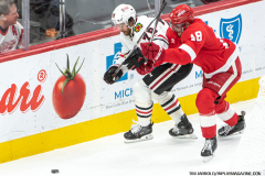Detroit-Red-Wings-vs-Chicago-Blackhawks-January-10-2025-In-Play-magazine-21