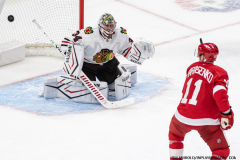Detroit-Red-Wings-vs-Chicago-Blackhawks-January-10-2025-In-Play-magazine-32