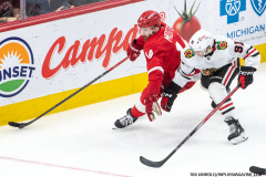 Detroit-Red-Wings-vs-Chicago-Blackhawks-January-10-2025-In-Play-magazine-5